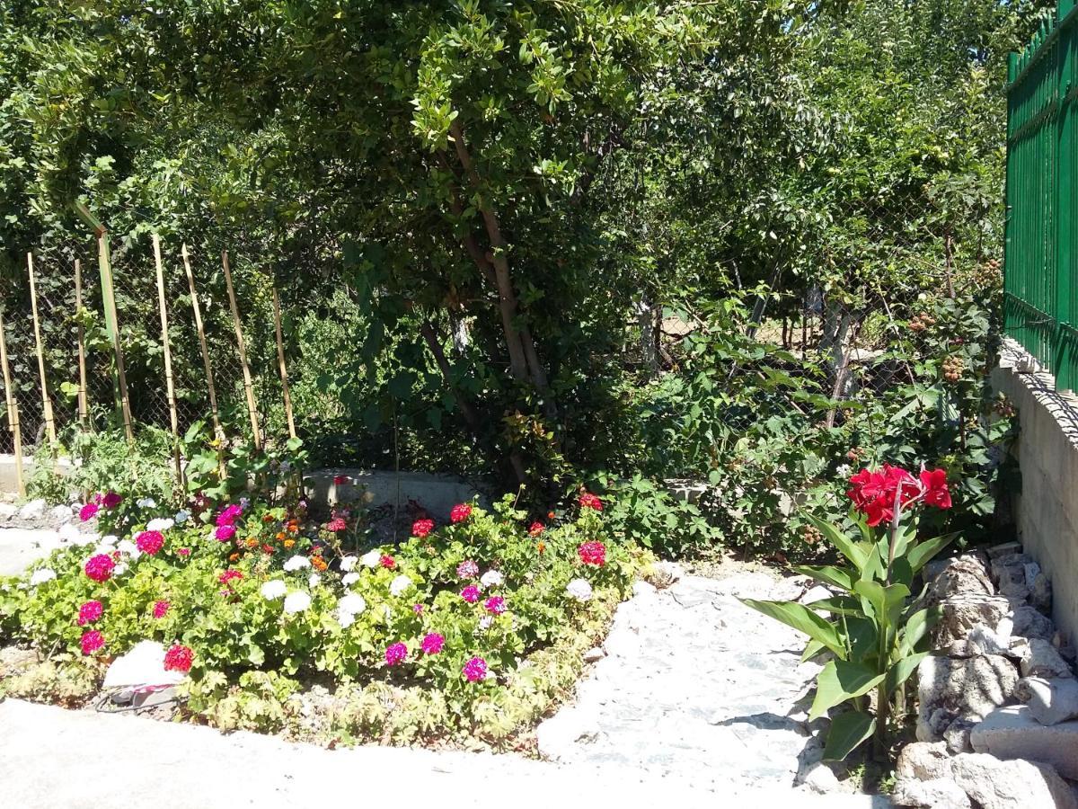 Villa Sunny Day Άγιος Κωνσταντίνος και Ελένη Εξωτερικό φωτογραφία